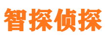 八宿婚外情调查